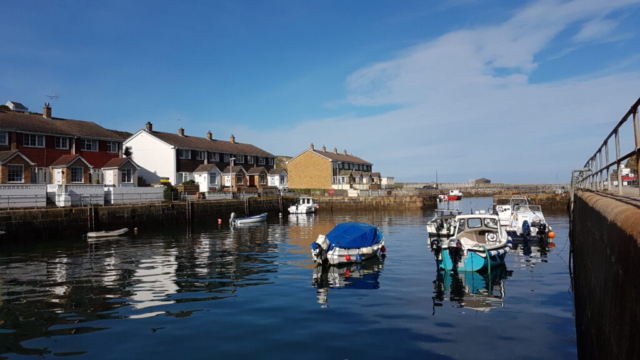 View of the harbour in the morning